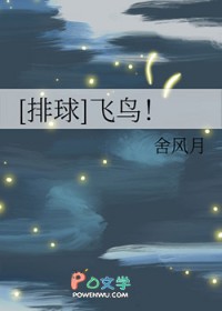[排球少年同人] 飞鸟