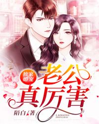 独家婚宠:老公真厉害