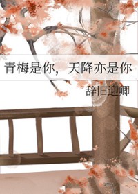 青梅是你,天降亦是你